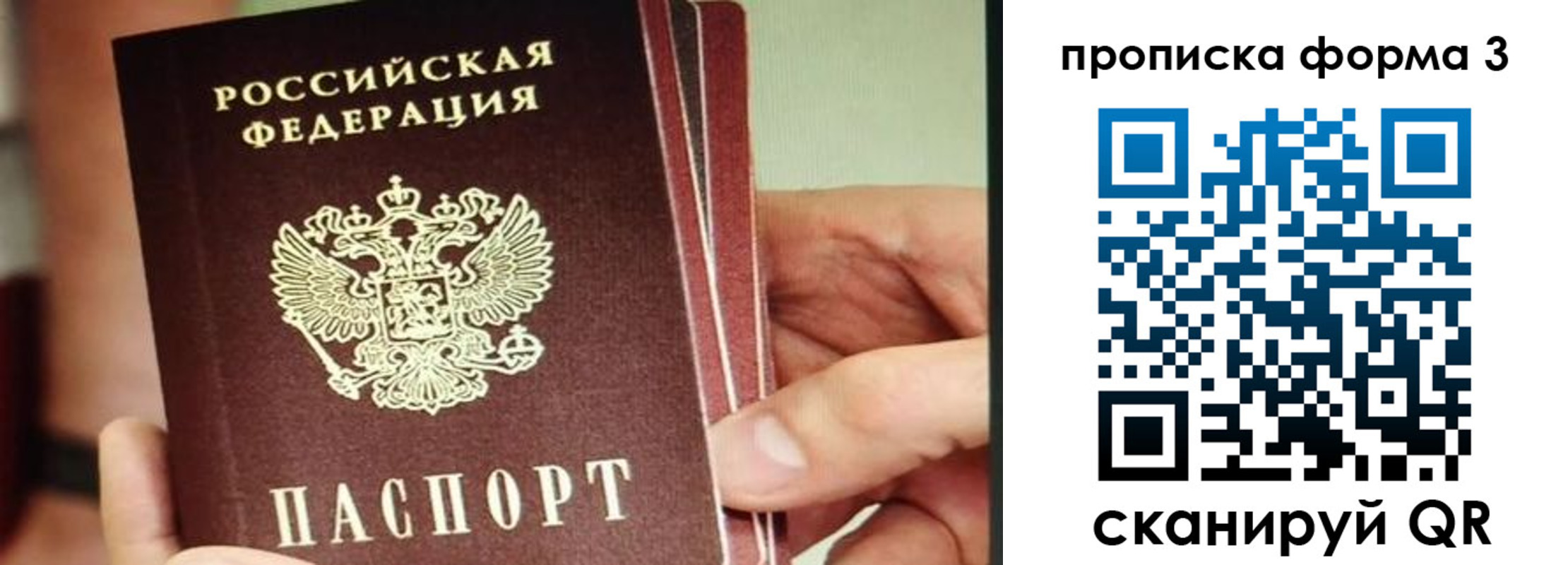 прописка законно в Дубовке